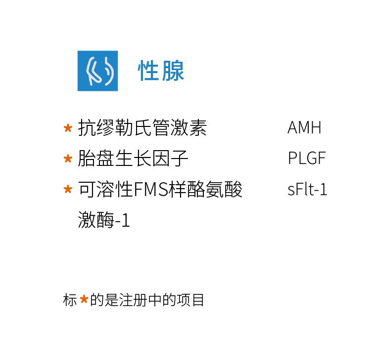 性腺