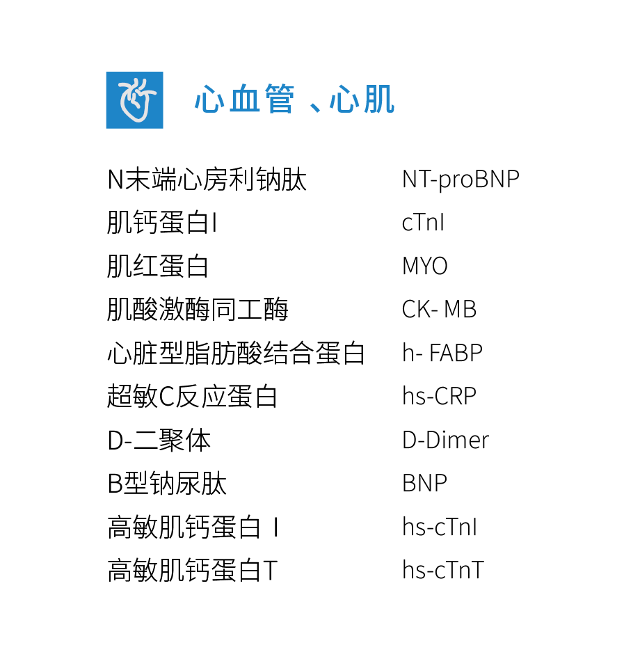 心血管、心肌