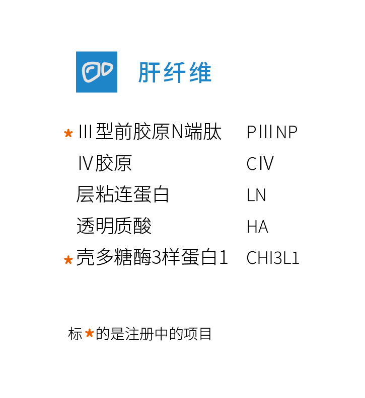 肝纤维